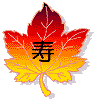 j̘aَq